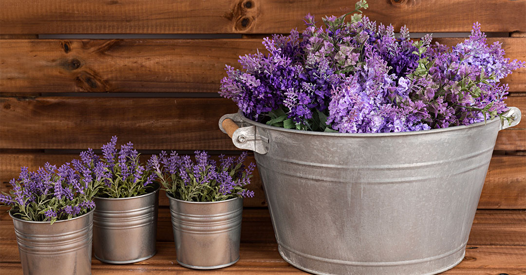 lavanda-zanzare-rimedi
