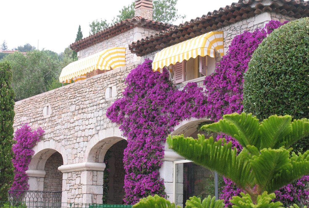 Tende a cappottina Chivasso