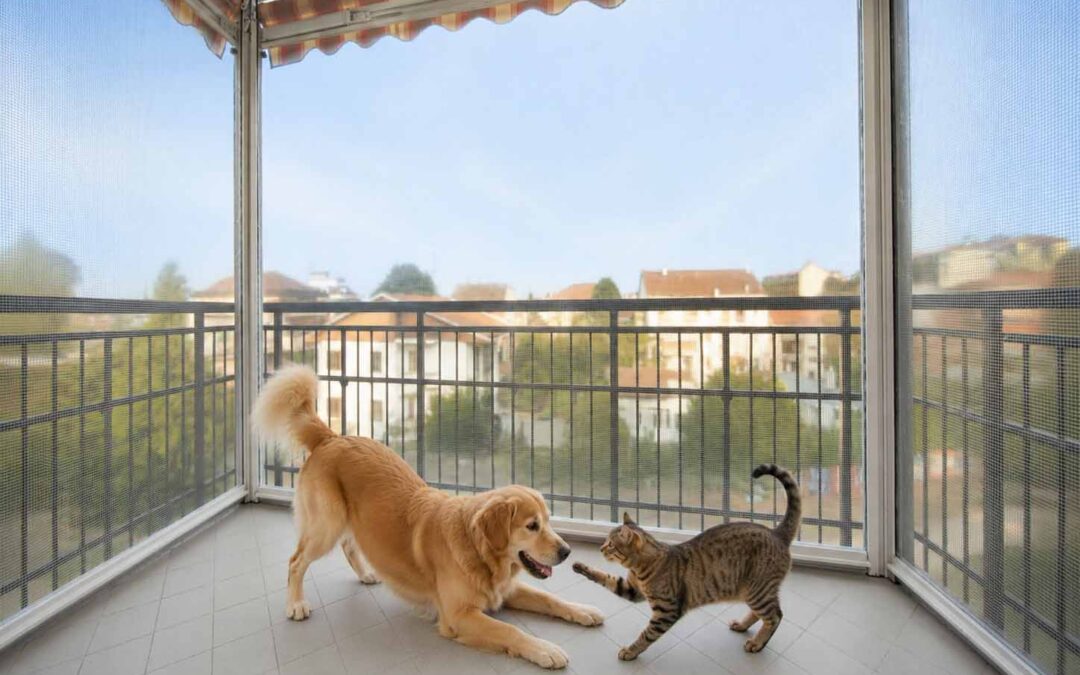 Tenda veranda per chi ha cani e gatti