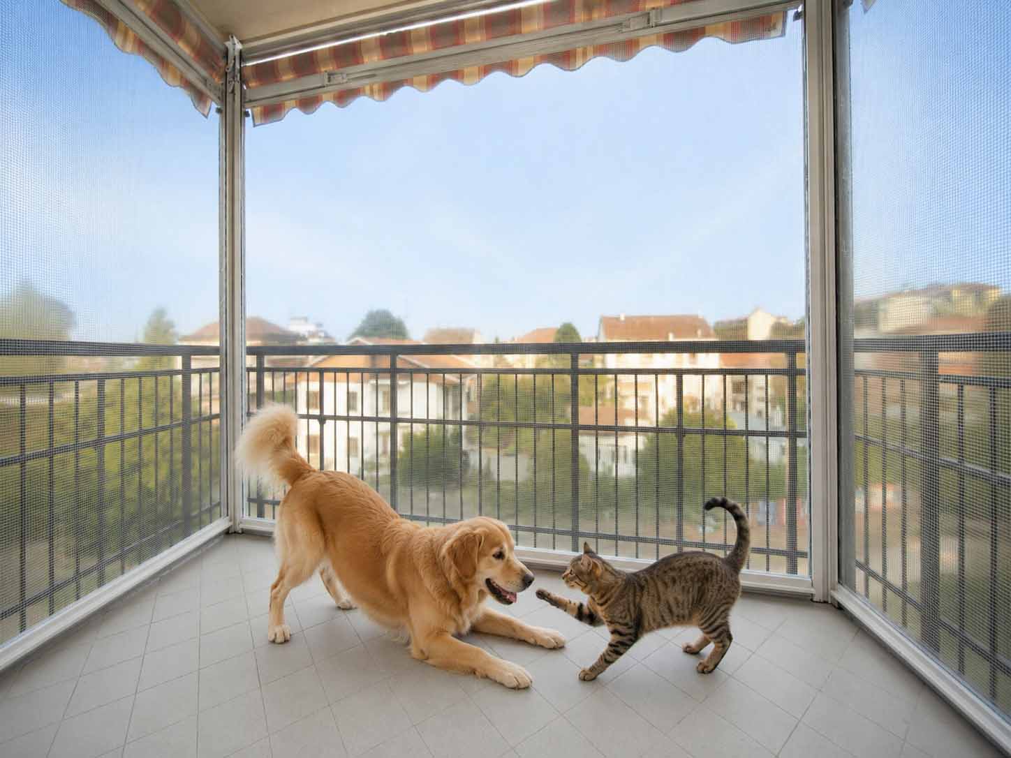Tenda veranda per chi ha cani e gatti